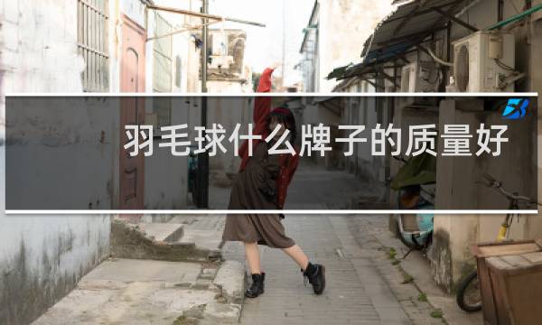 羽毛球什么牌子的质量好又便宜图片