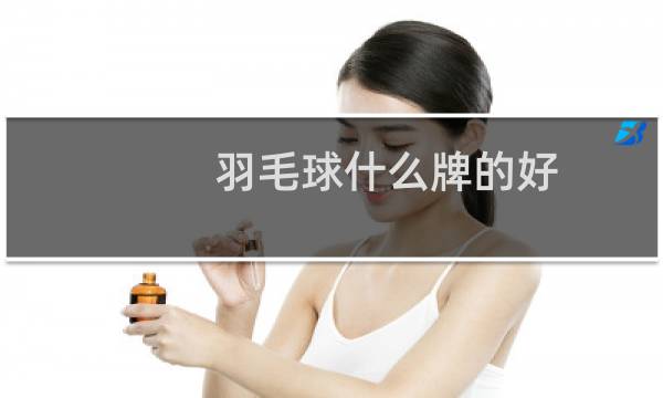 羽毛球什么牌的好图片