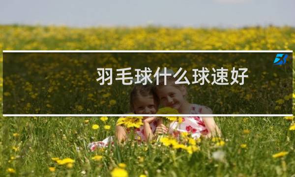 羽毛球什么球速好图片