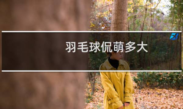 羽毛球侃萌多大图片