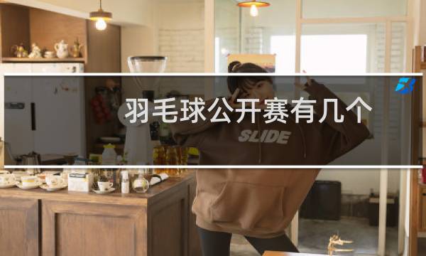 羽毛球公开赛有几个图片