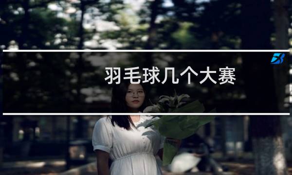 羽毛球几个大赛图片