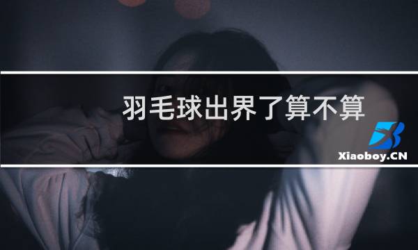 羽毛球出界了算不算图片