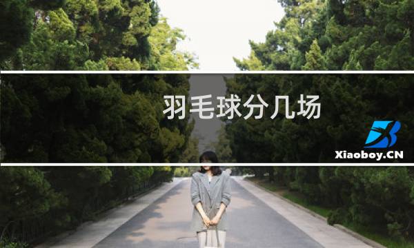 羽毛球分几场图片