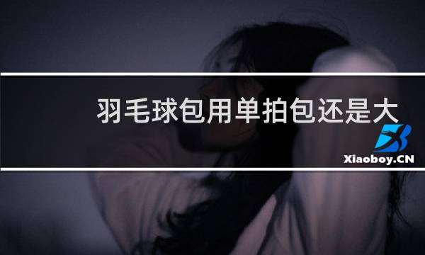 羽毛球包用单拍包还是大点的图片