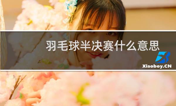 羽毛球半决赛什么意思图片