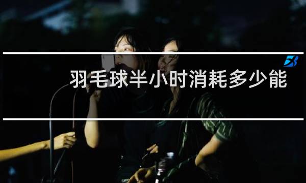 羽毛球半小时消耗多少能量图片
