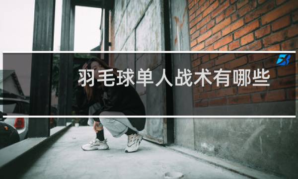 羽毛球单人战术有哪些图片