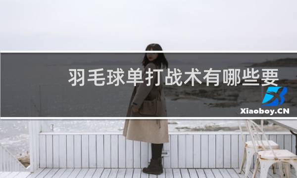 羽毛球单打战术有哪些要求图片