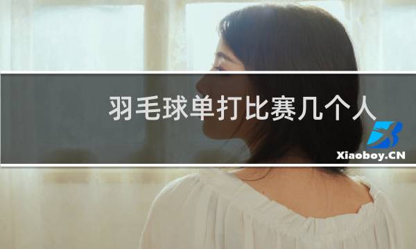 羽毛球单打比赛几个人图片
