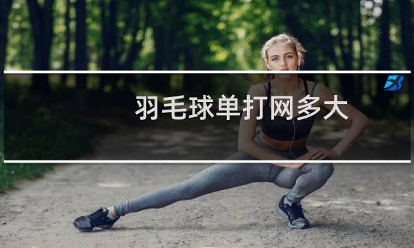 羽毛球单打网多大图片
