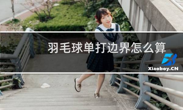 羽毛球单打边界怎么算图片