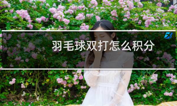 羽毛球双打怎么积分图片
