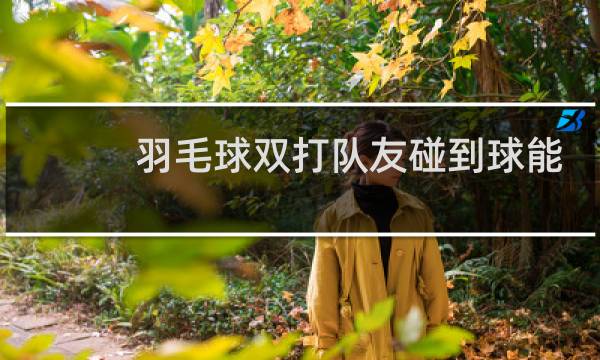 羽毛球双打队友碰到球能接吗图片