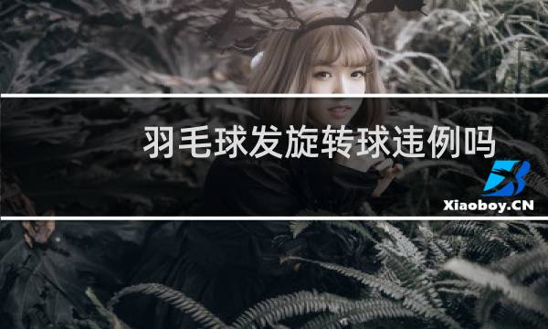 羽毛球发旋转球违例吗图片