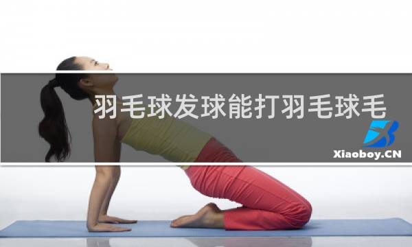 羽毛球发球能打羽毛球毛吗图片