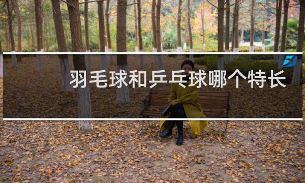 羽毛球和乒乓球哪个特长好图片
