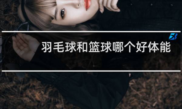 羽毛球和篮球哪个好体能图片