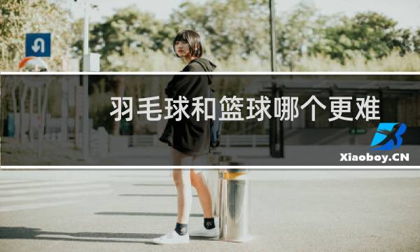 羽毛球和篮球哪个更难图片