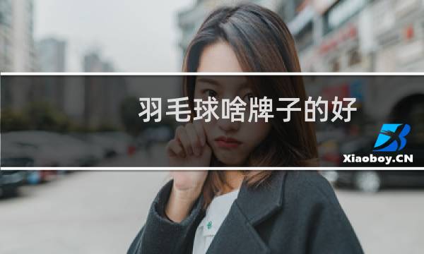 羽毛球啥牌子的好图片
