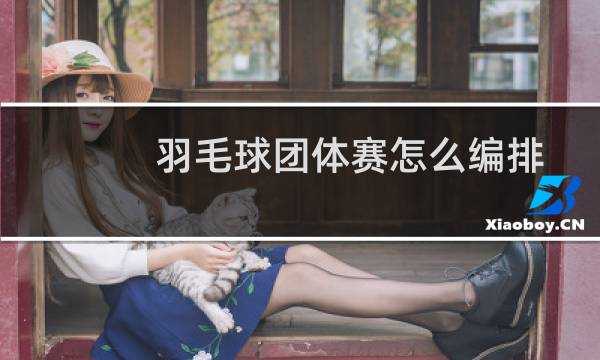 羽毛球团体赛怎么编排图片