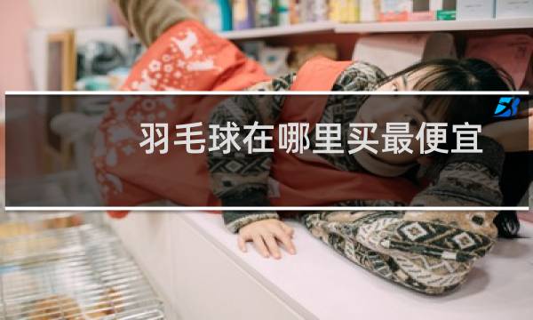 羽毛球在哪里买最便宜图片