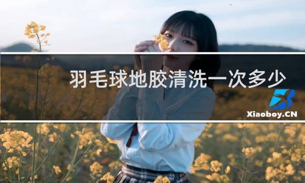 羽毛球地胶清洗一次多少钱图片