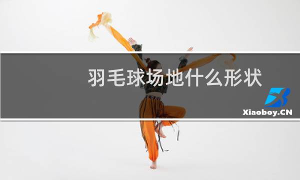 羽毛球场地什么形状图片