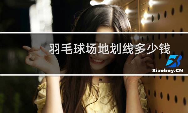 羽毛球场地划线多少钱图片