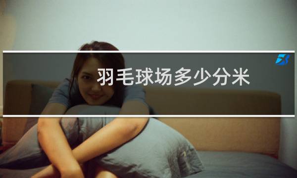 羽毛球场多少分米图片