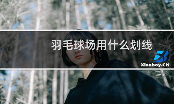 羽毛球场用什么划线图片