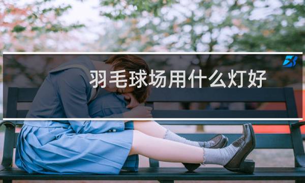 羽毛球场用什么灯好图片