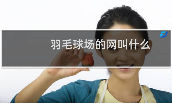 羽毛球场的网叫什么图片