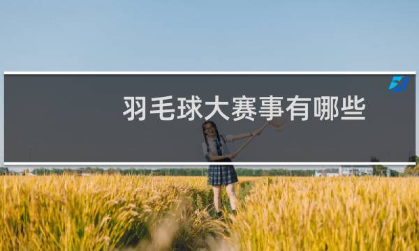 羽毛球大赛事有哪些图片
