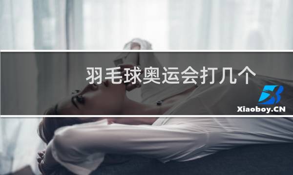 羽毛球奥运会打几个图片