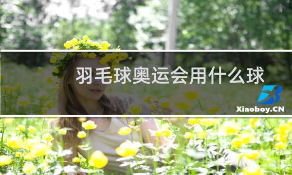 羽毛球奥运会用什么球图片