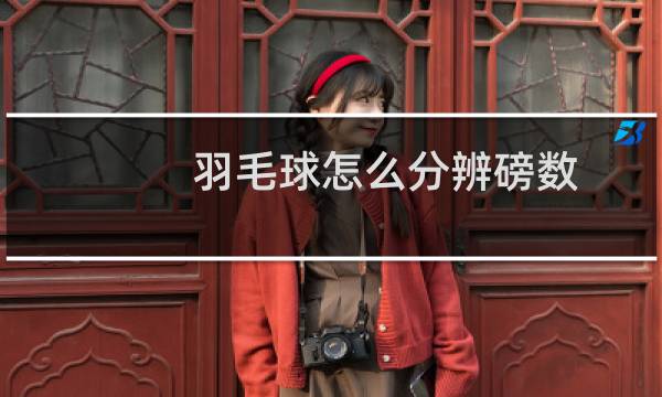 羽毛球怎么分辨磅数图片