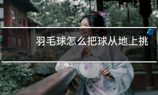 羽毛球怎么把球从地上挑起来图片