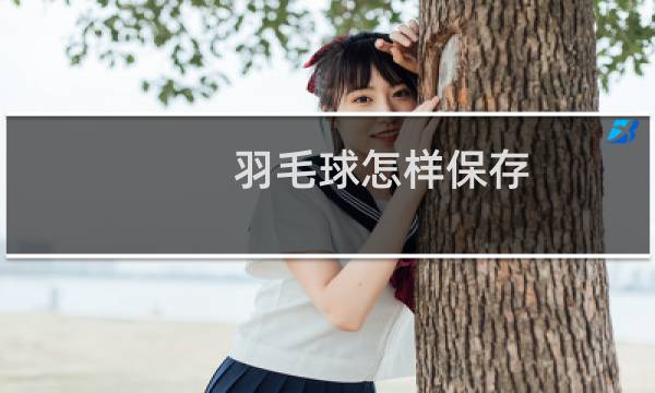 羽毛球怎样保存图片