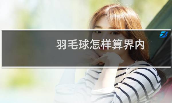 羽毛球怎样算界内图片