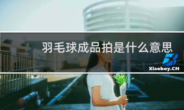 羽毛球成品拍是什么意思图片