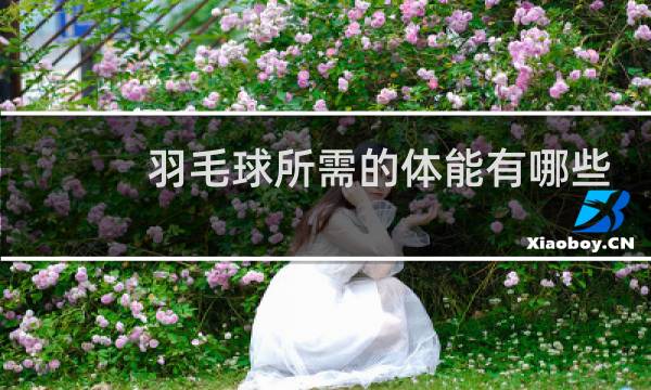 羽毛球所需的体能有哪些图片