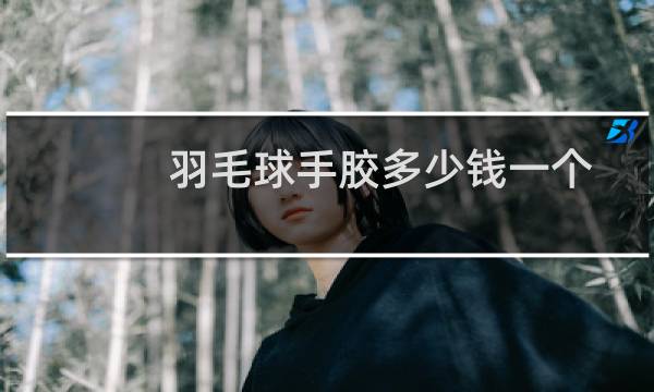 羽毛球手胶多少钱一个图片