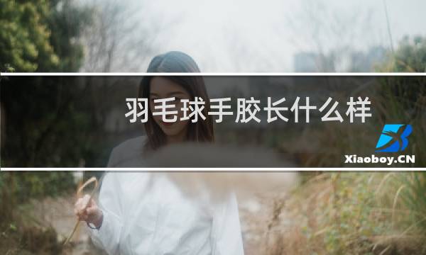 羽毛球手胶长什么样图片