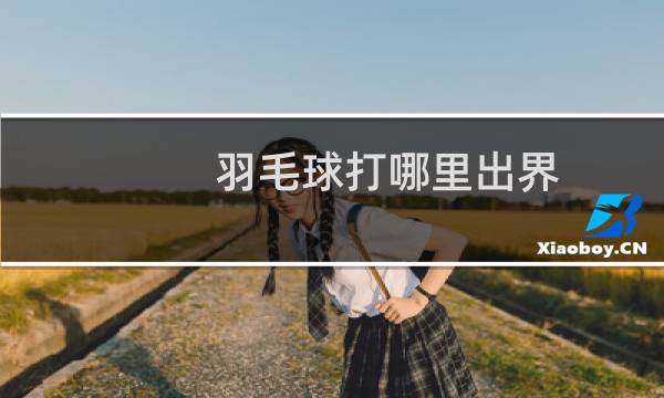 羽毛球打哪里出界图片