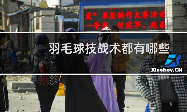 羽毛球技战术都有哪些图片