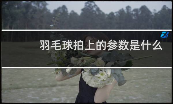 羽毛球拍上的参数是什么意思图片