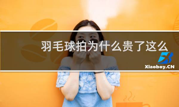羽毛球拍为什么贵了这么多图片