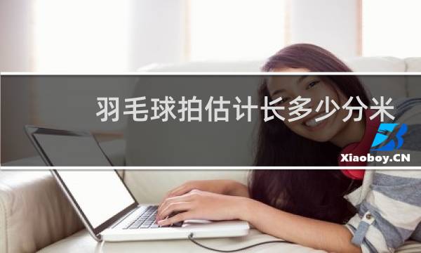 羽毛球拍估计长多少分米图片