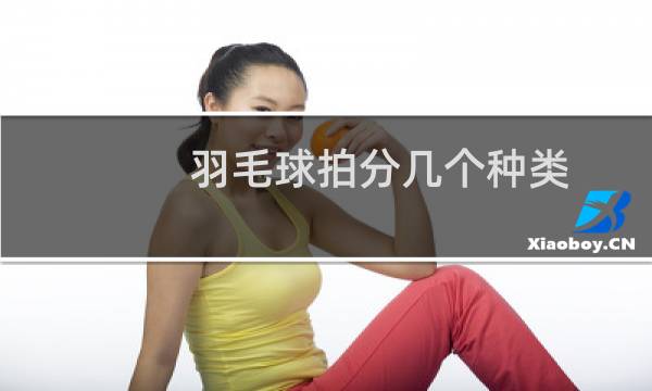羽毛球拍分几个种类图片